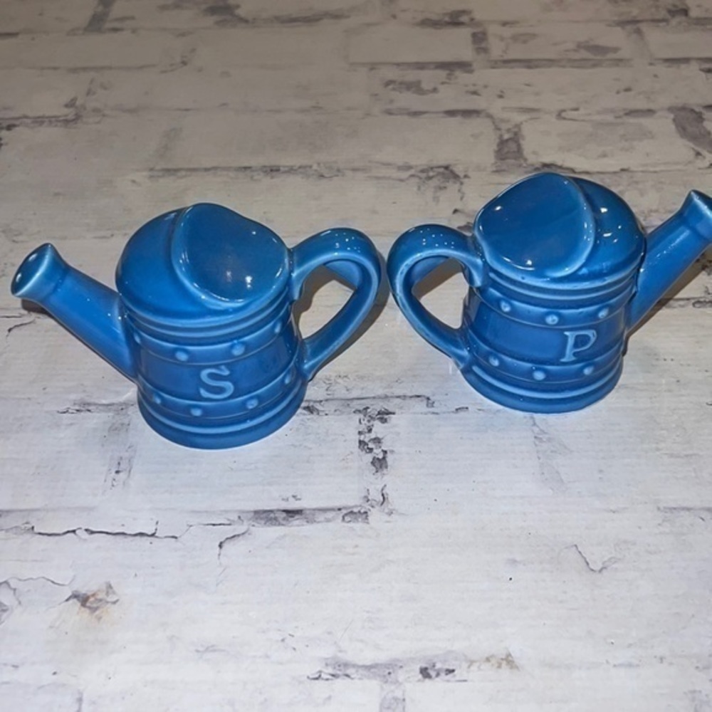 Vintage Rosenthal watering can salt and pepper shakers